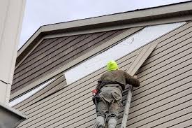 Best Siding for New Construction  in Roseville, MN